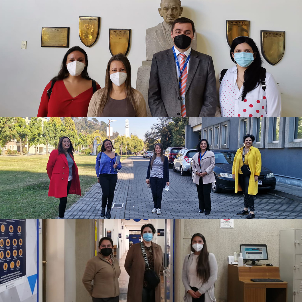 Imagen InclUdeC y Proyecto Inclusión UdeC visitan campus para conocer las necesidades en ayudas técnicas